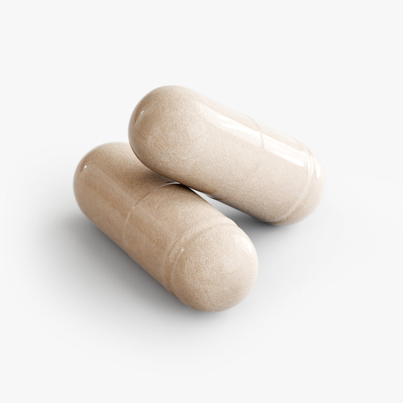 SACRAHAUS Sea Moss Vegan natural extract capsules in beige for health supplements