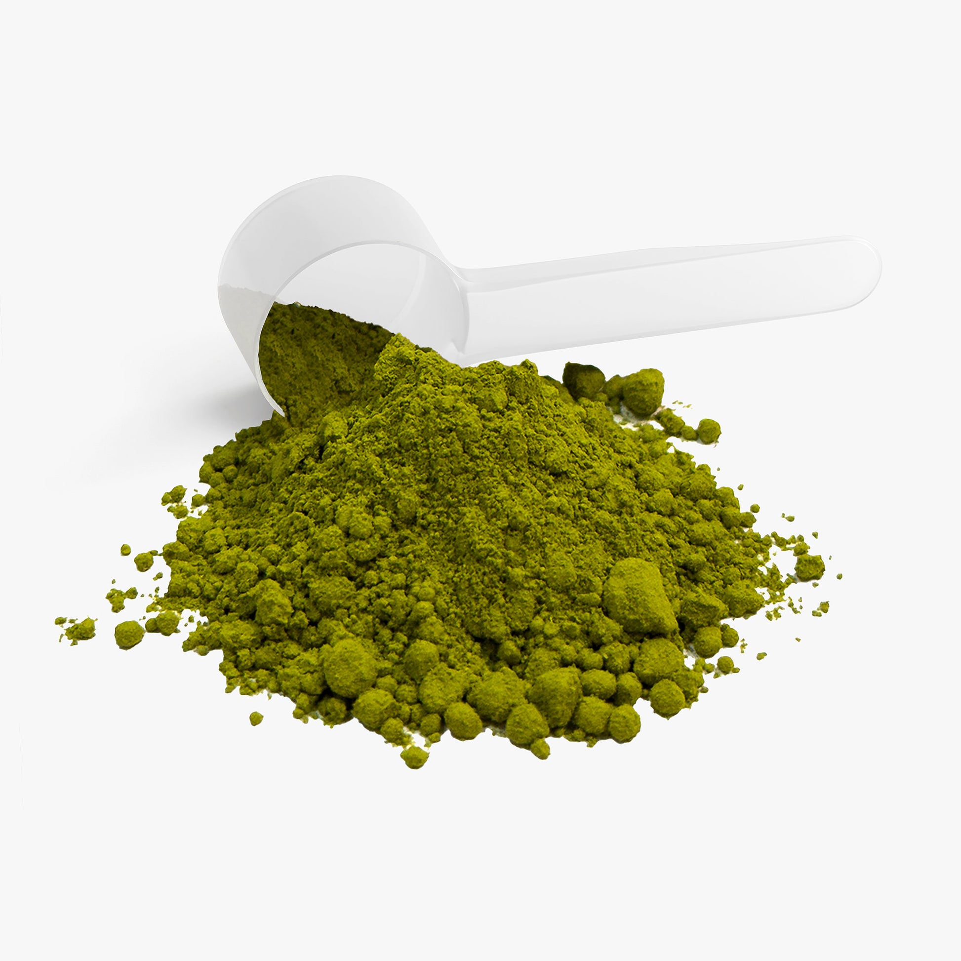 SACRAHAUS ceremonial matcha powder in vibrant green with a scoop for easy serving