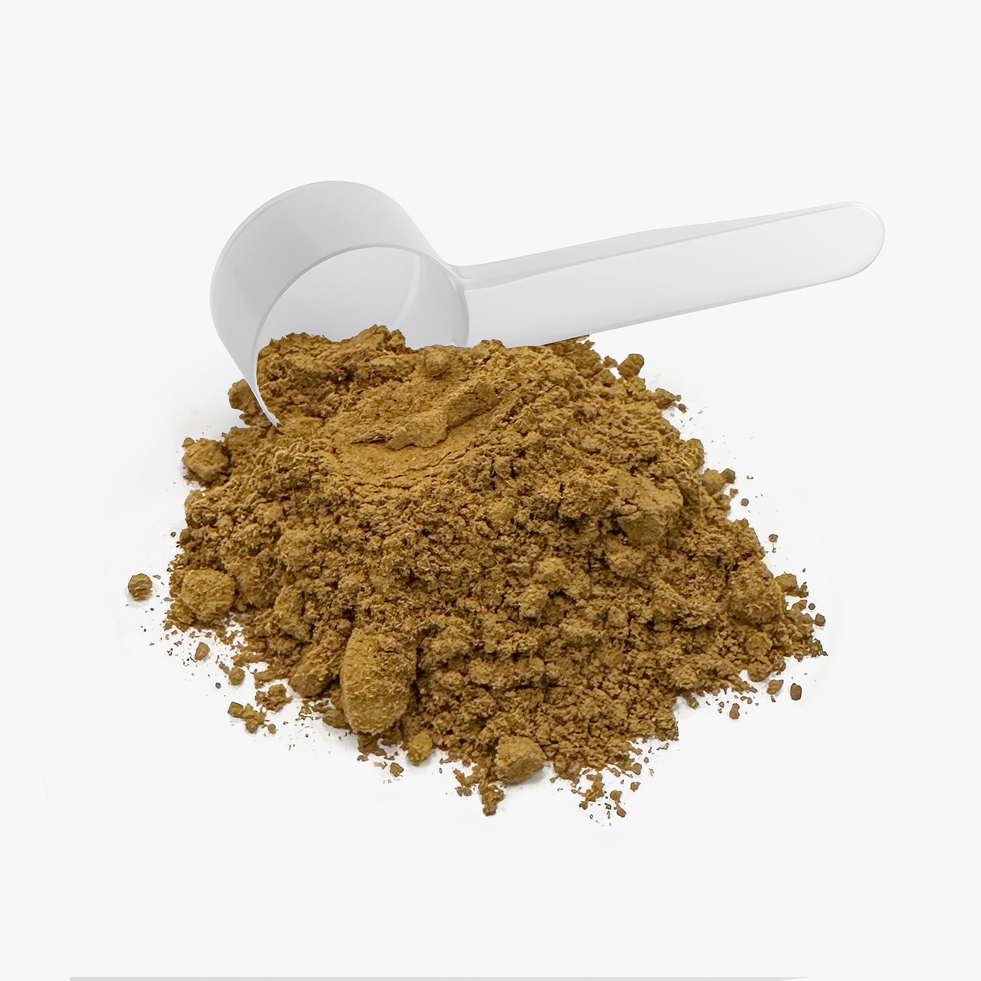 SACRAHAUS mushroom instant coffee powder in a scoop on a white background