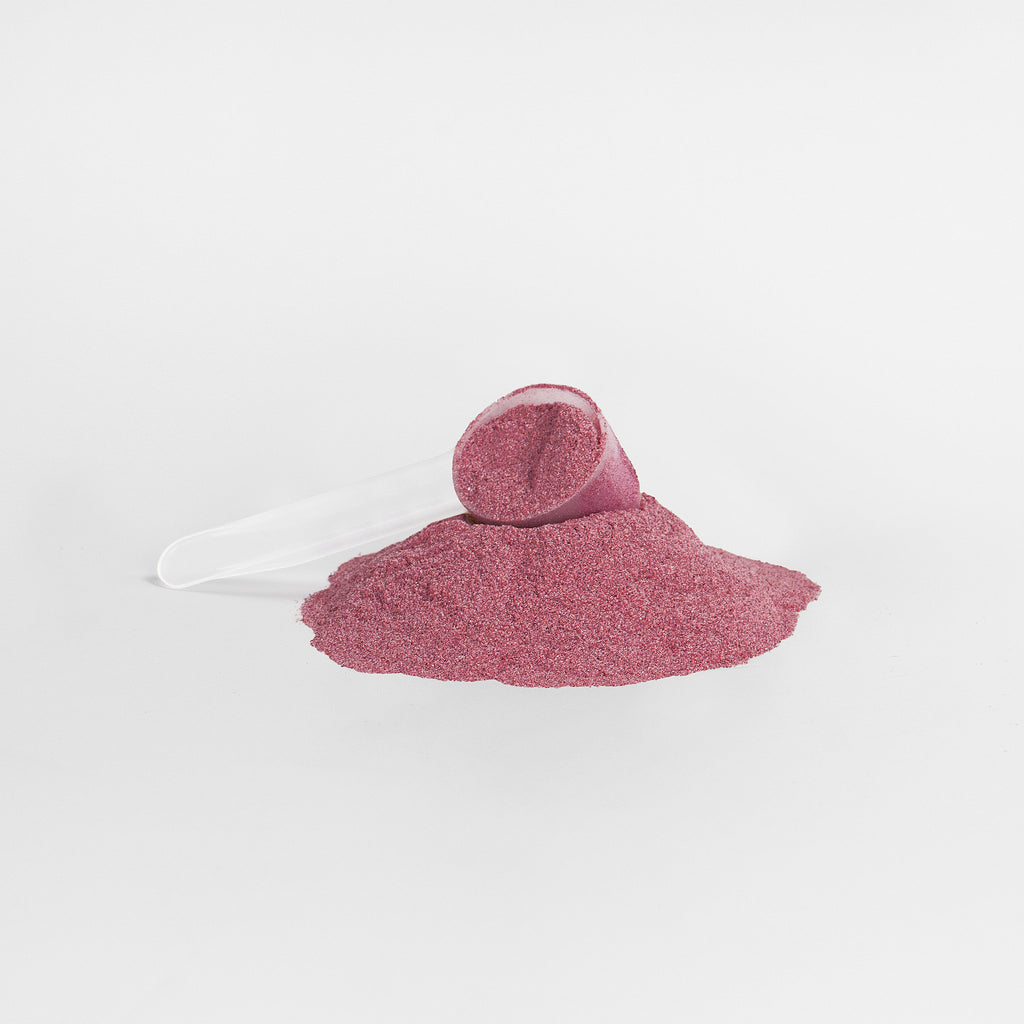 SACRAHAUS organic beetroot powder supplement in scoop with vibrant pink color for post-workout recovery