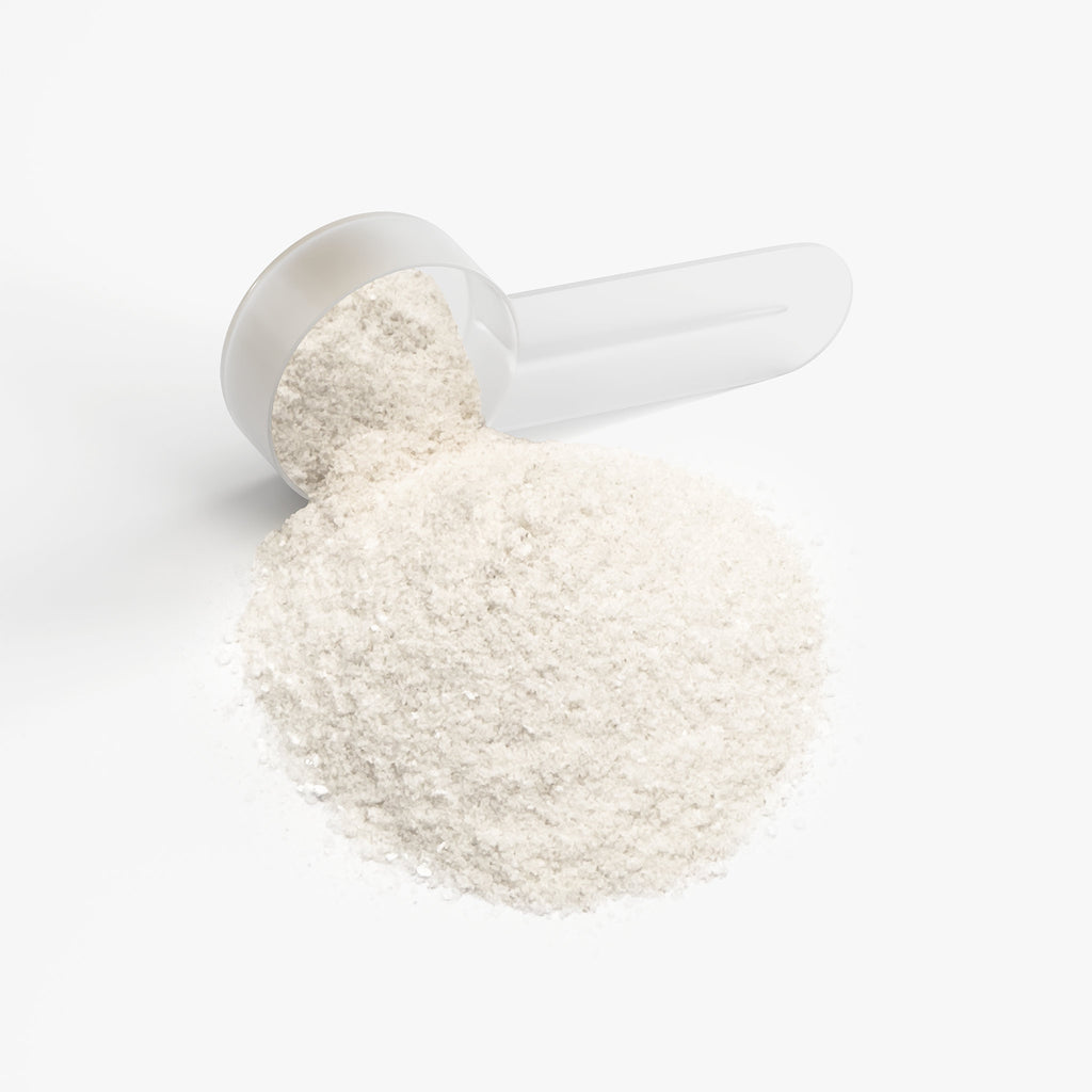 SACRAHAUS vegan energy powder in a measuring scoop with fine white texture for pre-workout boost