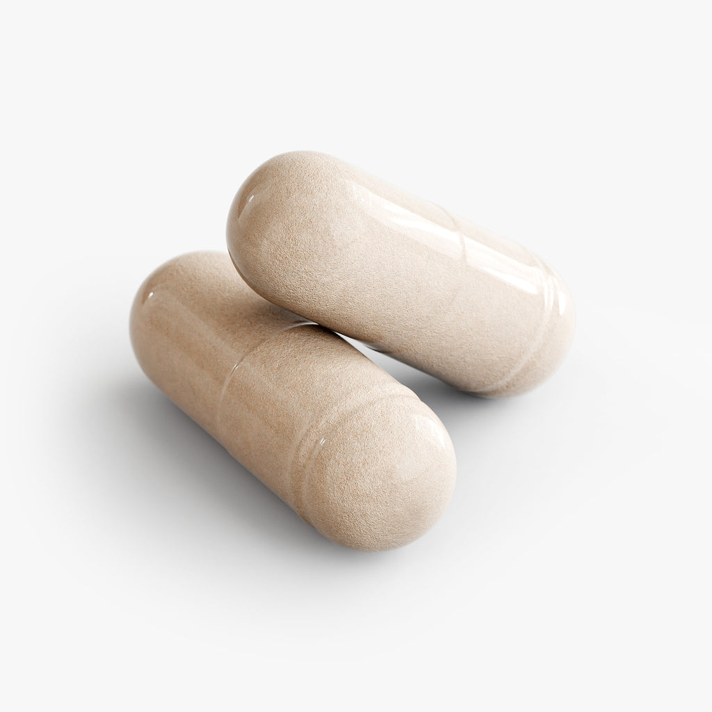 SACRAHAUS Sea Moss Vegan natural extract capsules in beige for health supplements